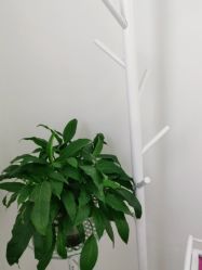 -痘敏医生专业祛痘·肌肤修复连锁