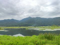 -腾冲北海湿地