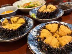 海胆-樱の花亭日本料理店