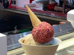 -极拉图·现制冰淇淋(大卫城店)