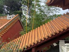 -三水森林公园