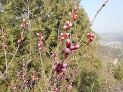 -北京西山国家森林公园