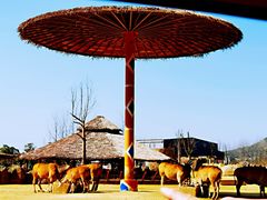 -杭州野生动物世界