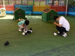 -萌宠亲子动物乐园(槐房万达店)