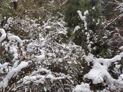 -九峰山
