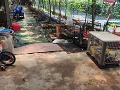 -马陆小张葡萄园农家乐