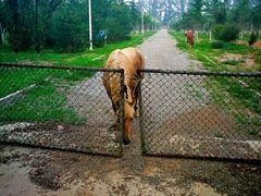 -红栌温泉山庄生态美食餐厅