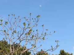 -北京十三陵国家森林公园蟒山景区