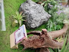 -德基艺术博物馆