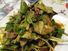 -石老头关东饺子王·东北菜(嘉华鑫城店)