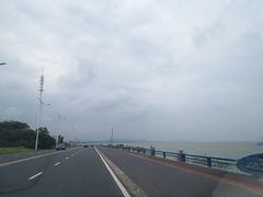 -合肥滨湖国家森林公园