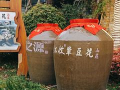 -夜不收荤豆花(大邑总店)