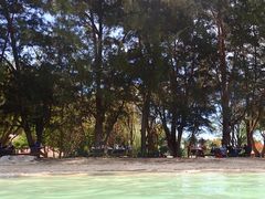 -东姑阿都拉曼海洋公园