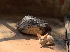 -云南野生动物园