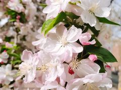 -大钟寺古钟博物馆