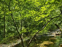 -关门山森林公园