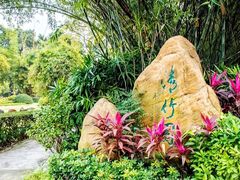 -晓港公园