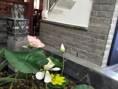 -京鼎轩北京烤鸭(世纪金源店)
