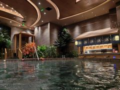 -汤印温泉假日酒店