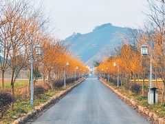 -帐篷客·溪龙茶谷度假酒店