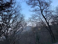 -紫金山山顶公园