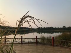 -东郊湿地公园