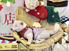 -凯德广场(西城店)