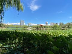 -青城公园