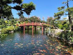 -芽庄珍珠岛游乐园