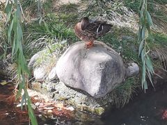 -水磨沟公园
