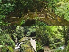-青城山