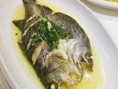 -石湖大酒店(桐泾店)