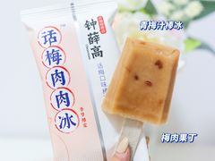 -钟薛高(南头古城店)