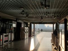 -外高桥保税区南(地铁站)