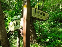 -神农架景区