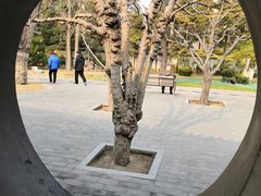 -团结湖公园