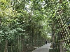 -唐城墙遗址公园