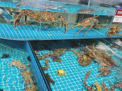 水产区-大锅强·蒸海鲜青岛菜(吾悦广场店)