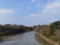 -上海海湾国家森林公园