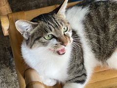 -铜瓢江湖兔火锅(水碾河社区店)