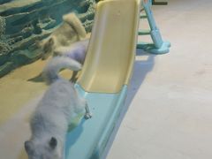 -华夏文旅西安度假区