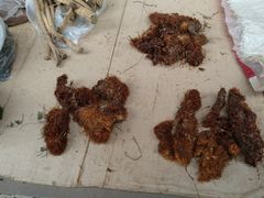 -金堂县云顶石城风景区