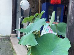 -麦当劳(中山公园龙之梦店)