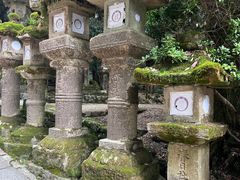 -奈良公园