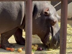 -青藏高原野生动物园