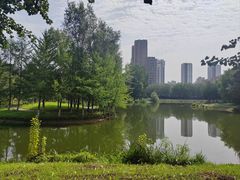 -长白岛森林公园