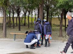 -北京群众马术培训基地