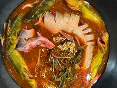 -刘淑芬·活鱼铁锅炖(北京首店)