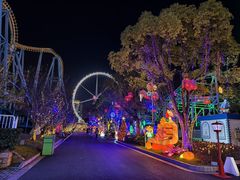 -锦江乐园舞狸花花游园会(夜场专享)