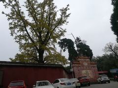 -金堂县云顶石城风景区